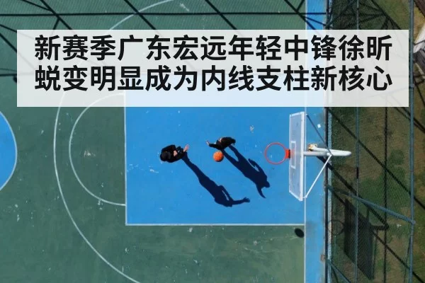 basketball court action